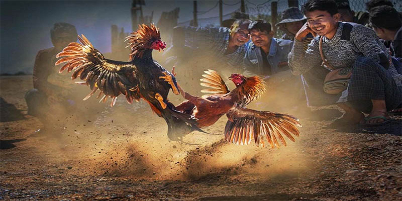 good888 chơi bắn cá đổi thưởng