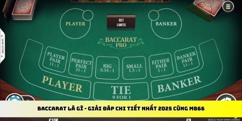 good888 gà chọi cu cần