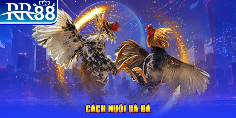 good888 xổ số an giang