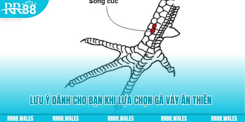 good888 xổ số đồng nai