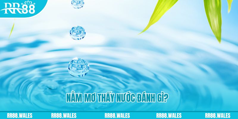 good888 TP Bắn cá