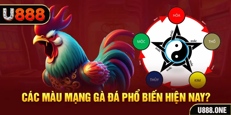 good888 trực tiếp đá gà 88