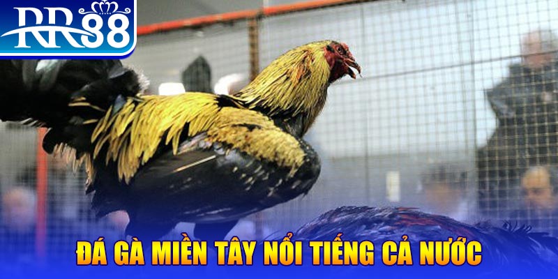 good888 JILI Game Bài 3d