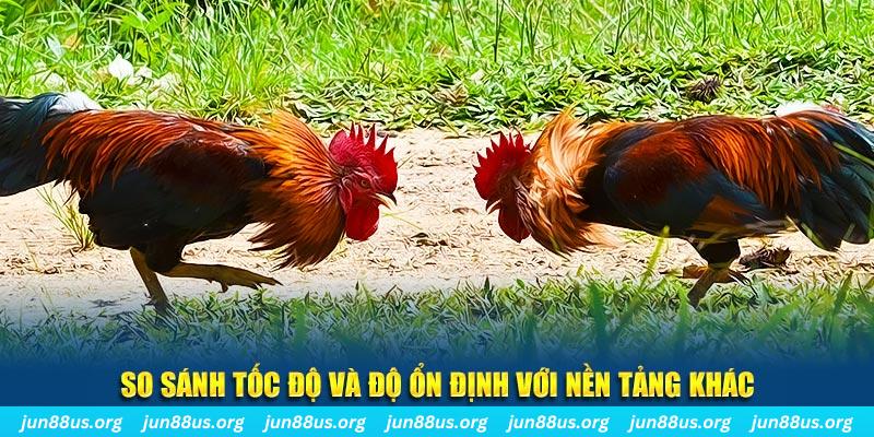 good888 đá gà hôm nay