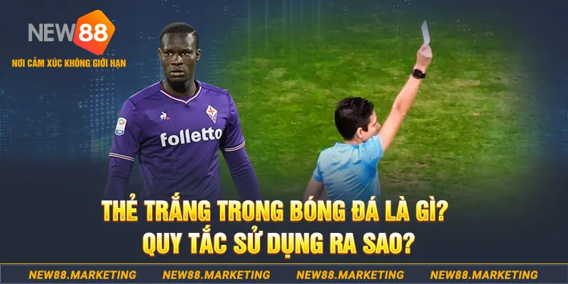 good888 gà chọi mộc hóa