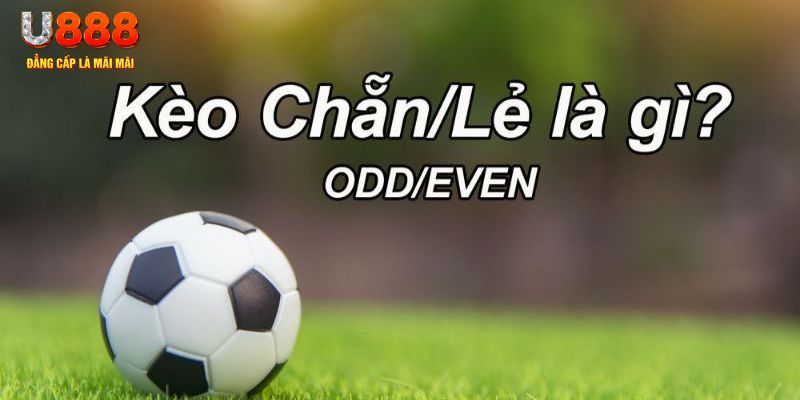 good888 đăng nhập poker hôm nay
