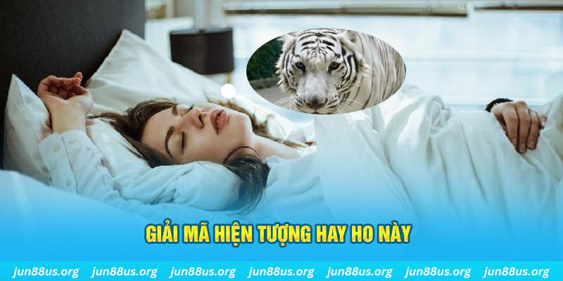 good888 đăng nhập nổ hũ uy tín