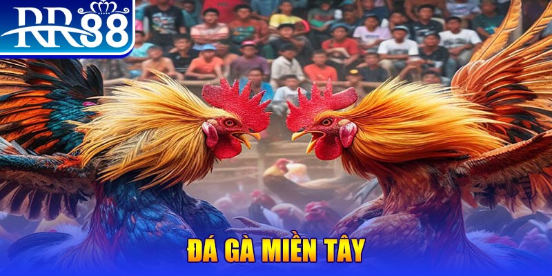 good888 đăng nhập nổ hũ