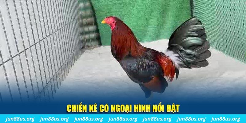 good888 chạy quảng cáo cho game bài bị phạt như thế nào